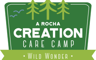 Wild Wonder Creation Care Summer Camp