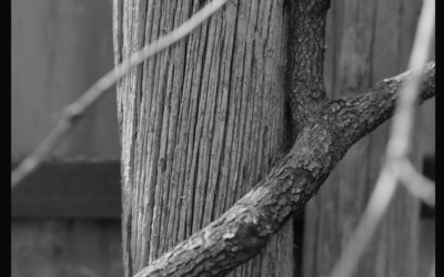 Youth Photography Workshop with Ryan Helsel, June 18